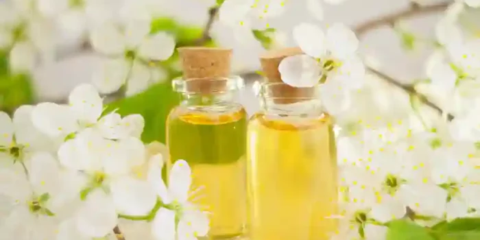 Skin Care Oil