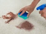 carpet cleaning