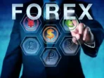 Forex Robot