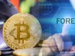 Forex